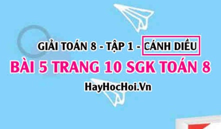 Giải bài 5 trang 10 Toán 8 Tập 1 SGK Cánh Diều